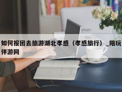 如何报团去旅游湖北孝感（孝感旅行）_陪玩伴游网