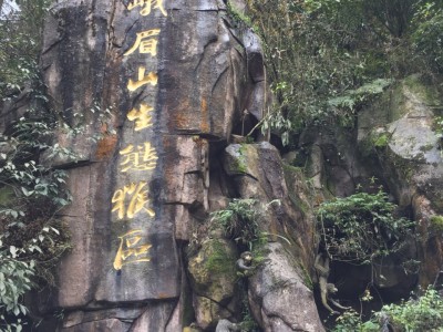 温州香磨山景区：天下第一奇山，地下河仙境，民族风采尽显，生态天堂一览无遗