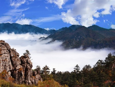 温州神农架：秘境之旅，云海奇观，草原牧歌，探寻世外桃源